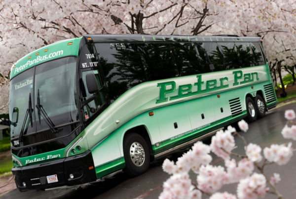 Peter Pan Bus Lines is in Full Bloom with Cherry Blossoms in Washington D.C.