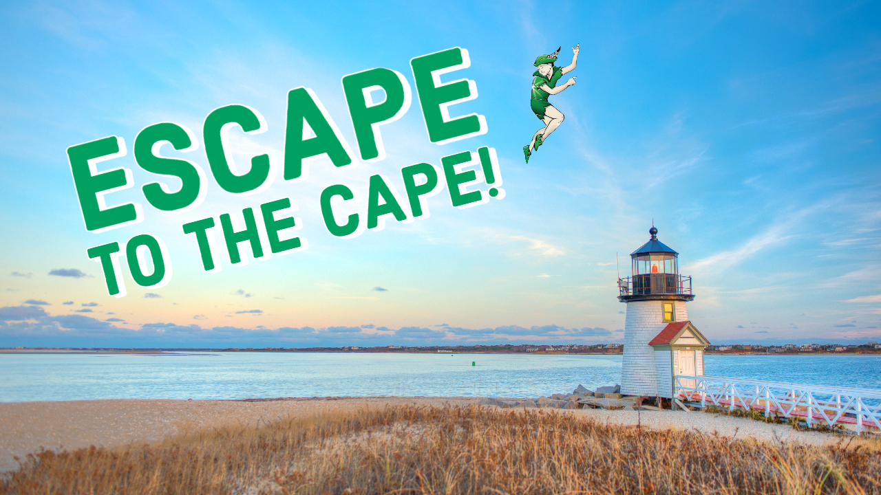 Explore the Shores of Cape Cod