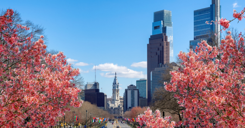Cherry blossoms framing the Philadelphia skyline with City Hall in the background